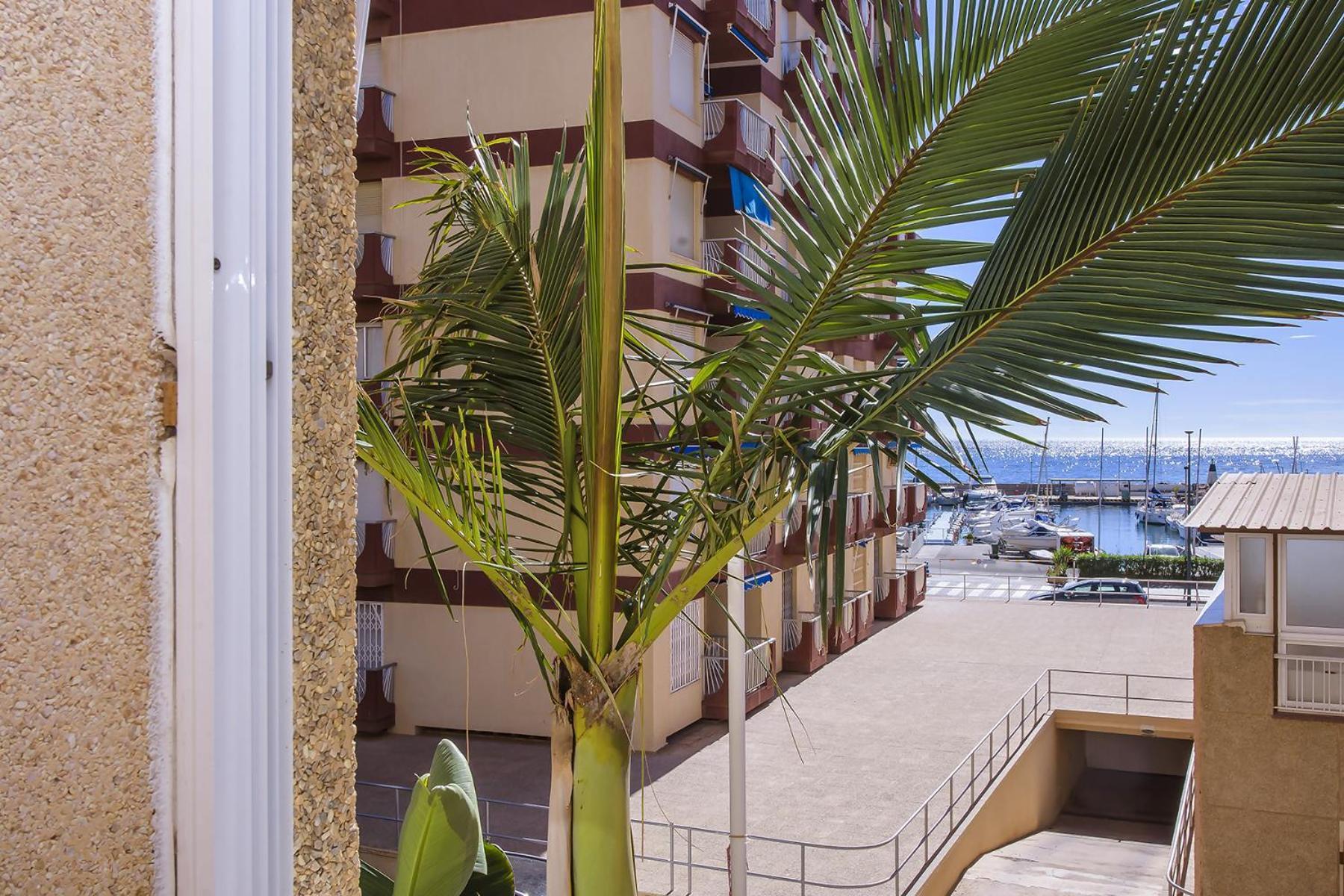 Aguilas Delicias Piscina Wifi Ac Parking Gratis Exterior photo